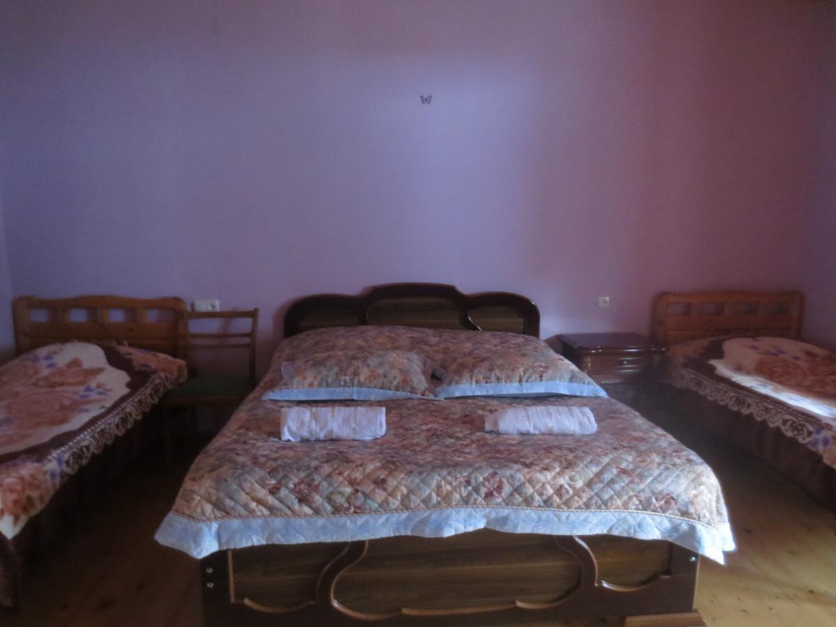 Irma Beso & Aleko Khergianis Guesthouse Mestia Luaran gambar